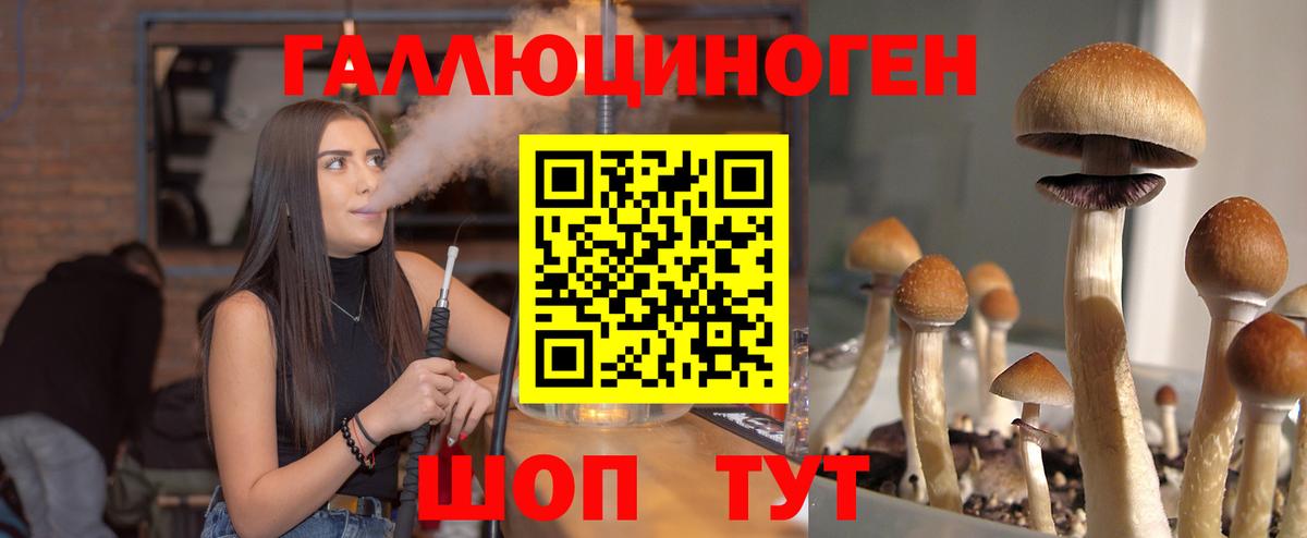Псилоцибиновые грибы мицелий  Вход с VPN  Ирбит 